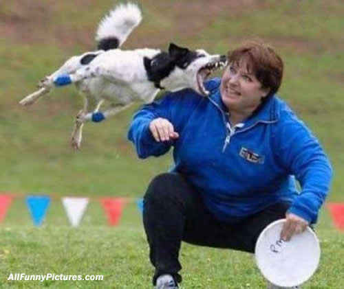 viciouspup.jpg