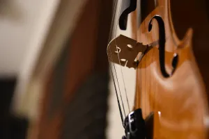 Violin
© Pixabay license https://pixabay.com/photos/violin-viola-cello-music-fiddle-5818267/